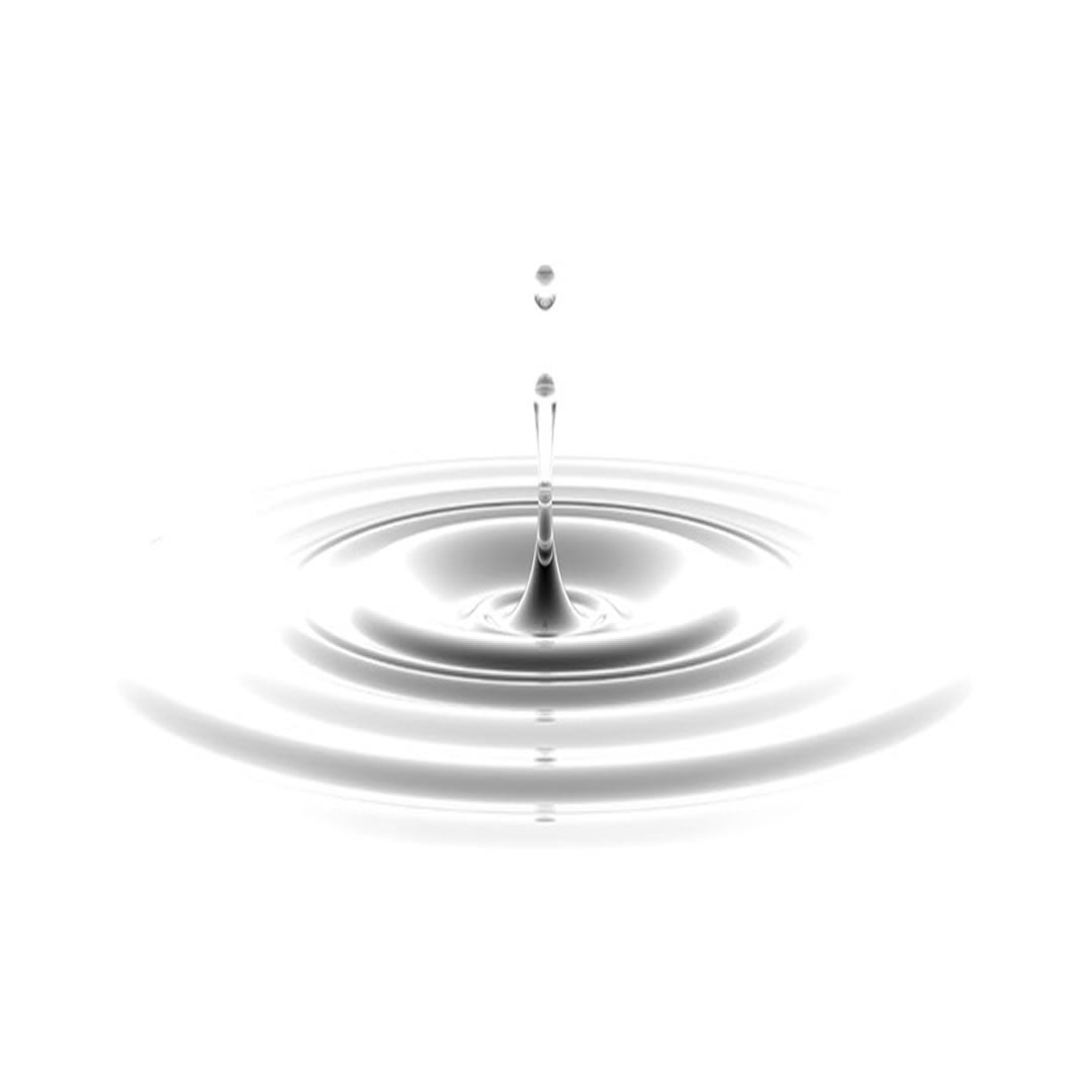 Sucralose Sweetener (liquid)  by Flavor West5.99Fusion Flavours